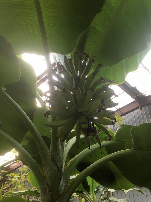 第五季龙水凤港生态农场