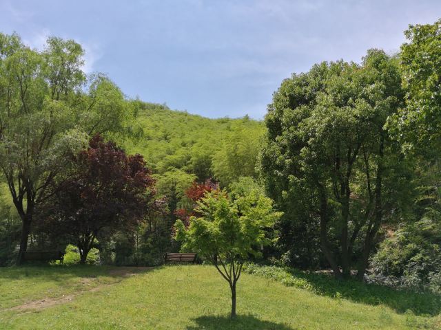 浙东大竹海景区