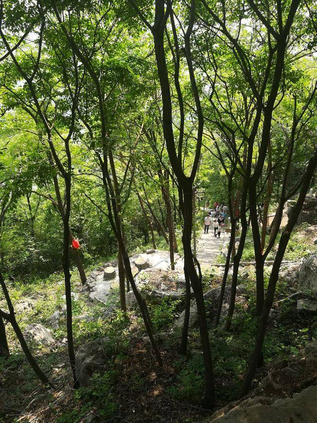 龟山望龙洞风景区