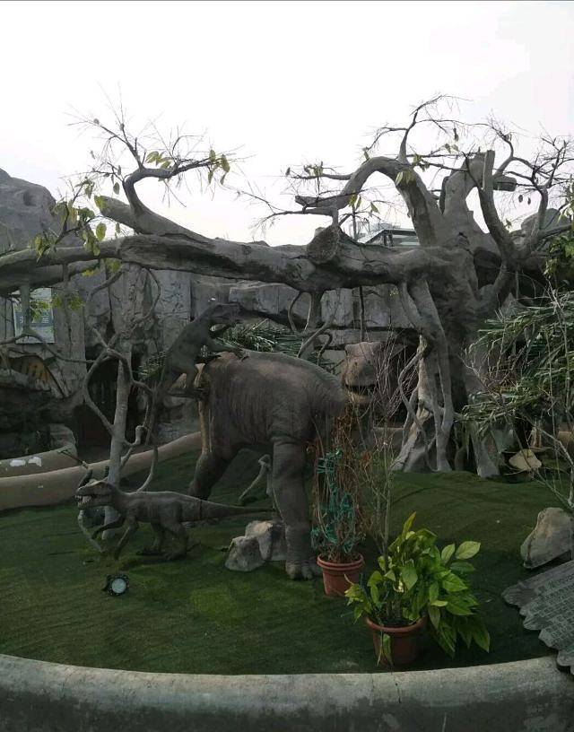 侏罗纪恐龙乐园(同曦假日百货·万尚城店)