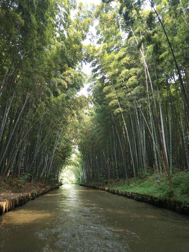 同里国家湿地公园