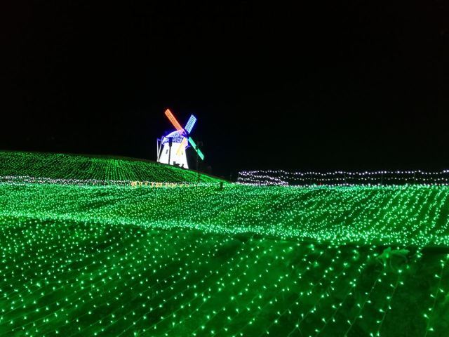 百草坡森林植物园