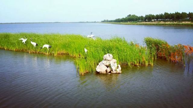 大安嫩江湾旅游区