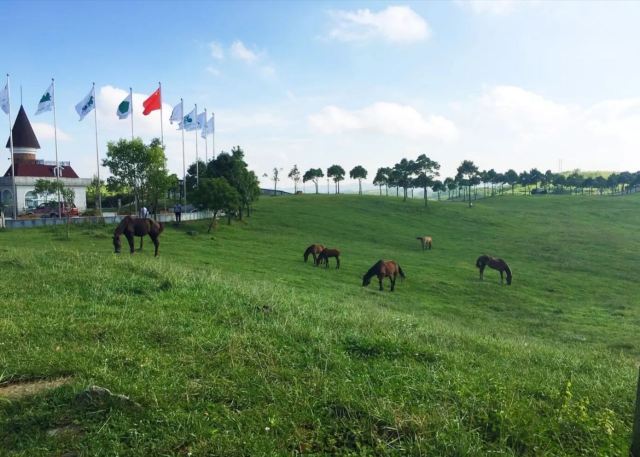 贵州修文苏格兰牧场