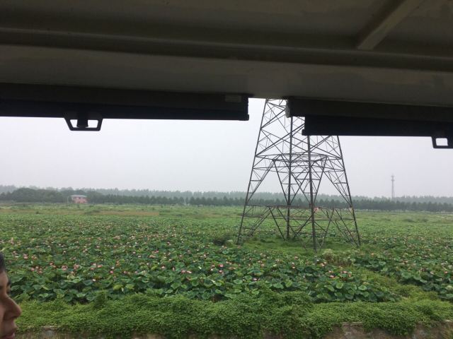 新沙岛旅游度假区