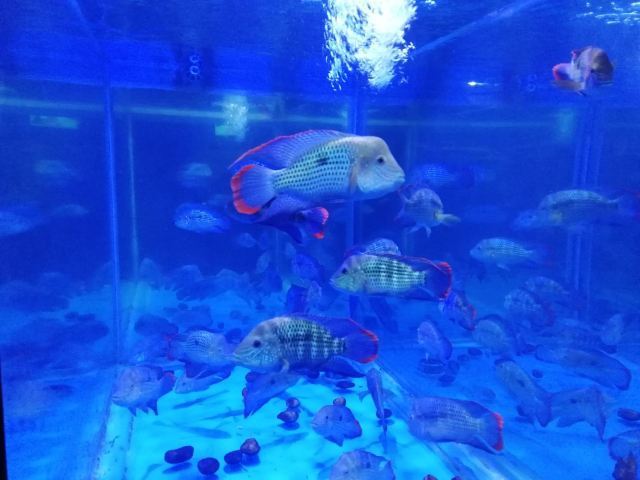 云龙湖水上世界