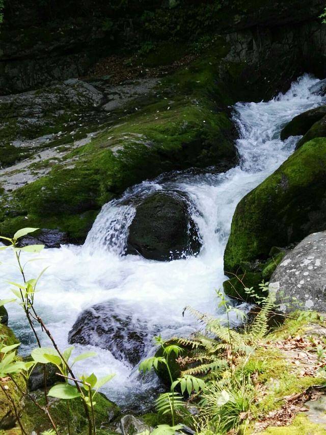 平利天书峡景区