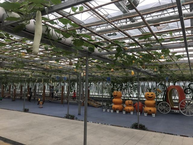 莘县中原现代农业嘉年华