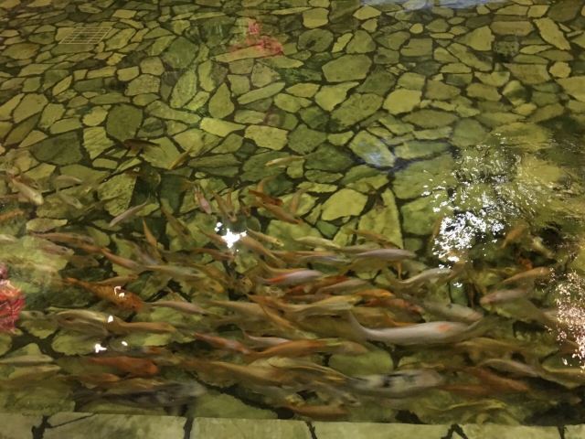 泉城欧乐堡戏水湾艺术养生温泉