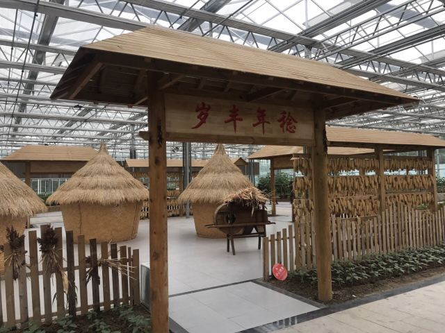 莘县中原现代农业嘉年华