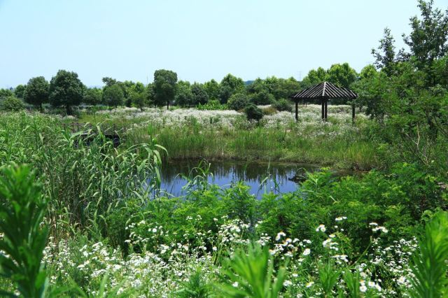 汤山翠谷现代农业示范园