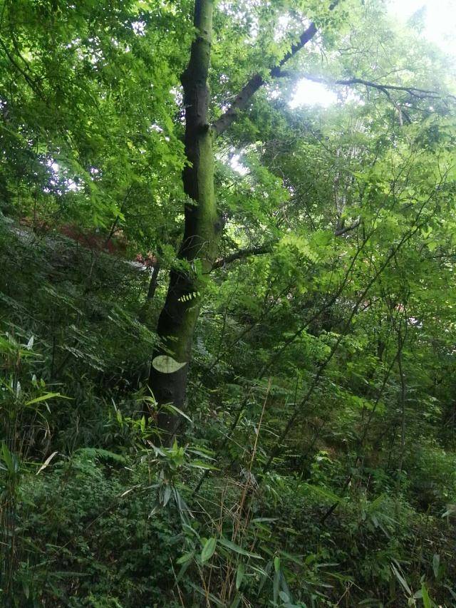 终南山古楼观历史文化景区