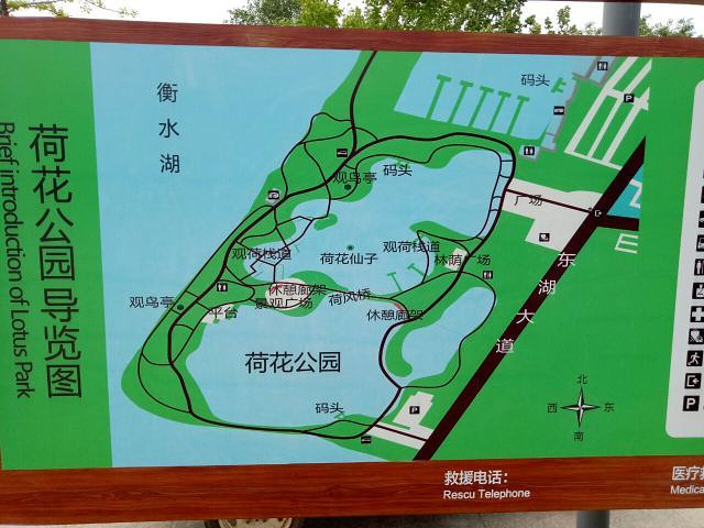 "_衡水湖旅游景区"的评论图片