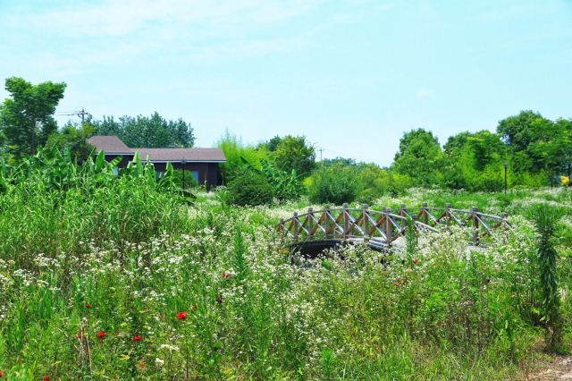 汤山翠谷现代农业示范园