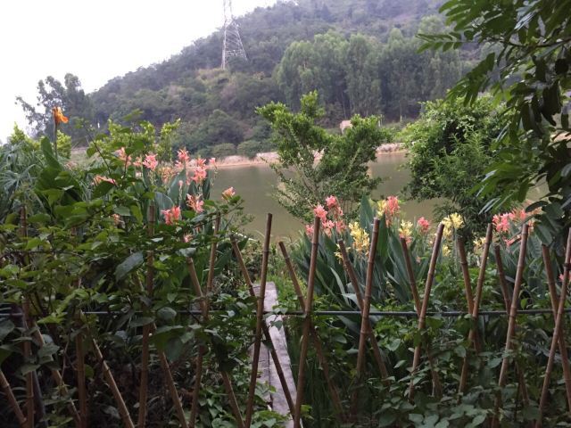 一马树森林公园