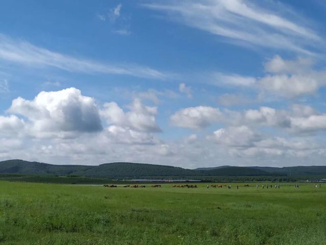 锡林郭勒盟草原