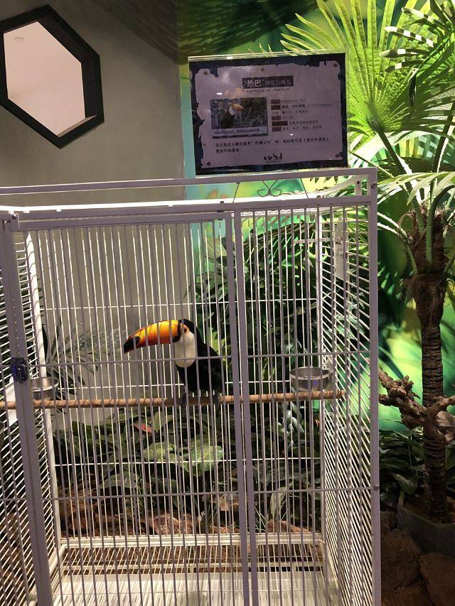 天津zoonly动物主题公园