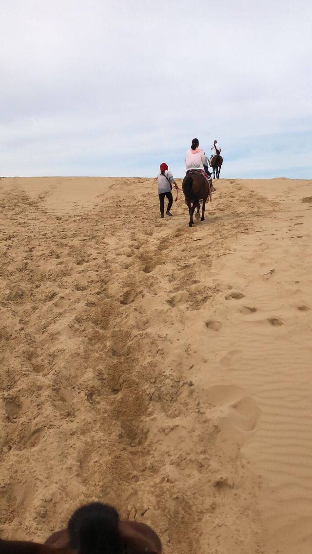 塔敏查干沙漠旅游景区