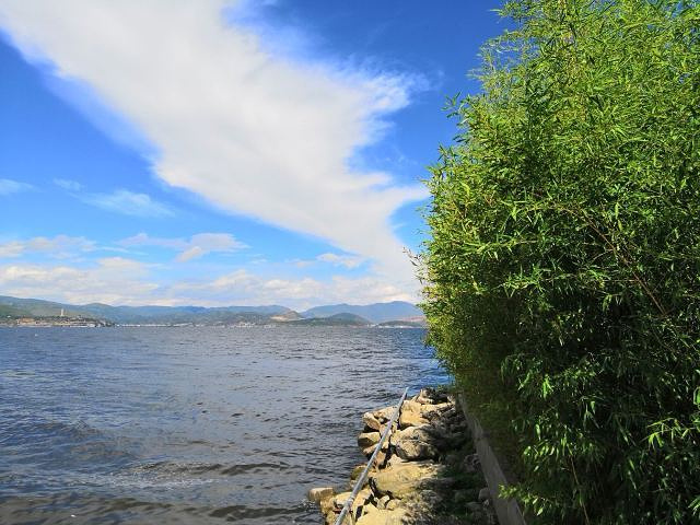只是想看看洱海,所以我沿着环海西路,导航小邑庄村码头,吹吹海风,摸摸
