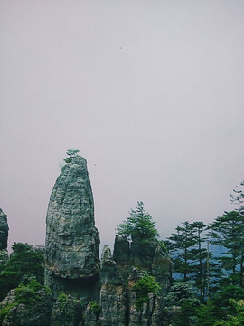 神农顶风景区旅游景点攻略图