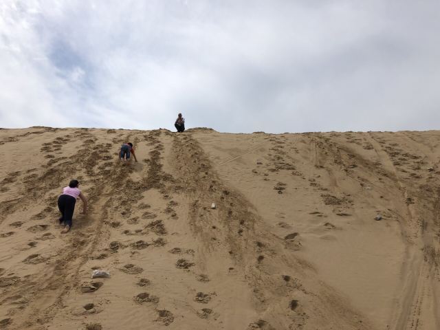 塔敏查干沙漠旅游景区