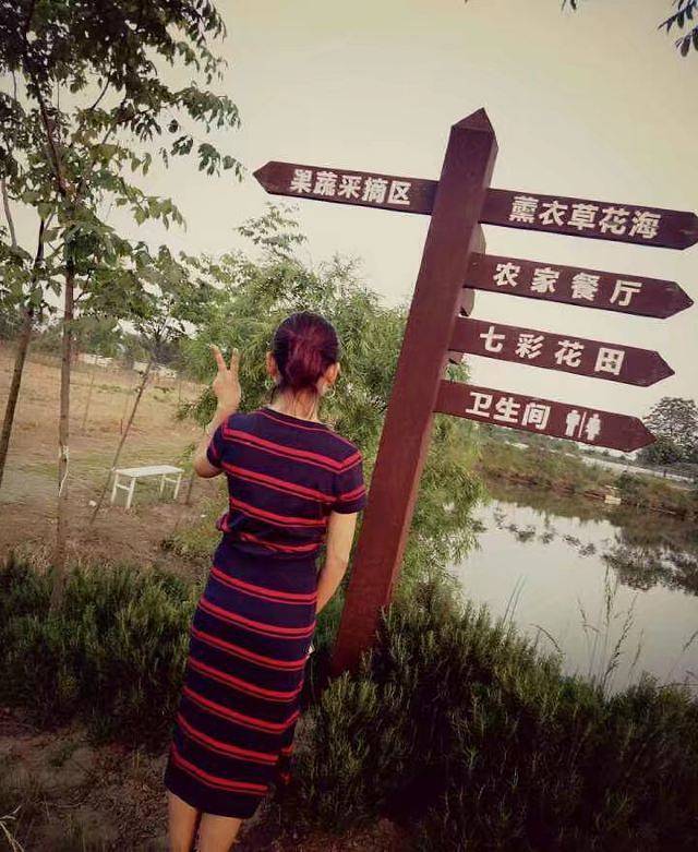 普罗旺斯薰衣草庄园