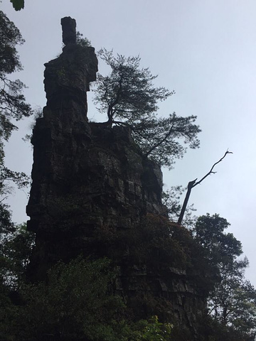 "_莲花山"的评论图片