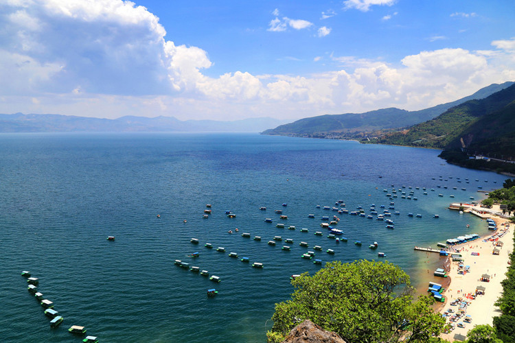3飞高端西双版纳专线|5星酒店 抚仙湖 野象谷 森林公园 独树成林 篝火