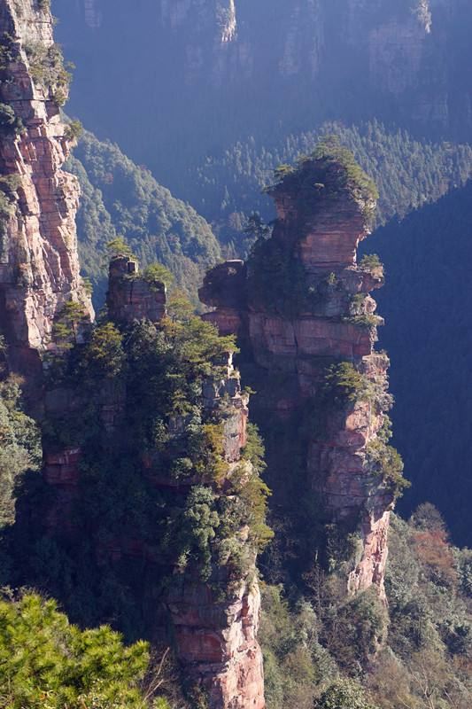 八仙山自然保护区