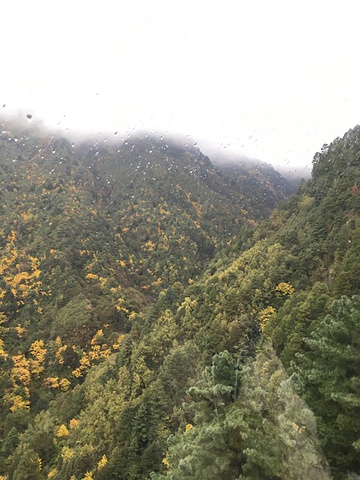 "_洗马潭大索道"的评论图片