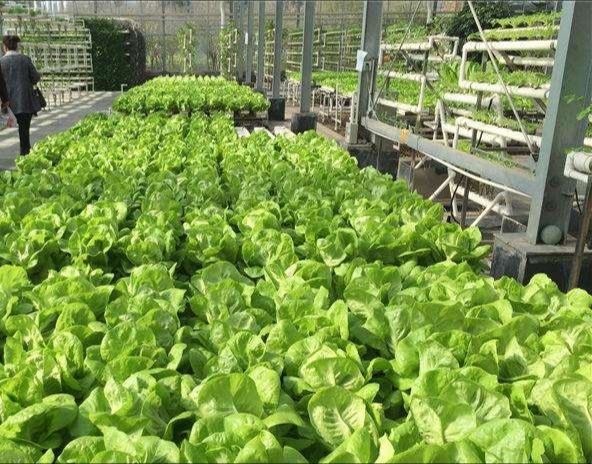 杨凌现代农业示范园区创新园