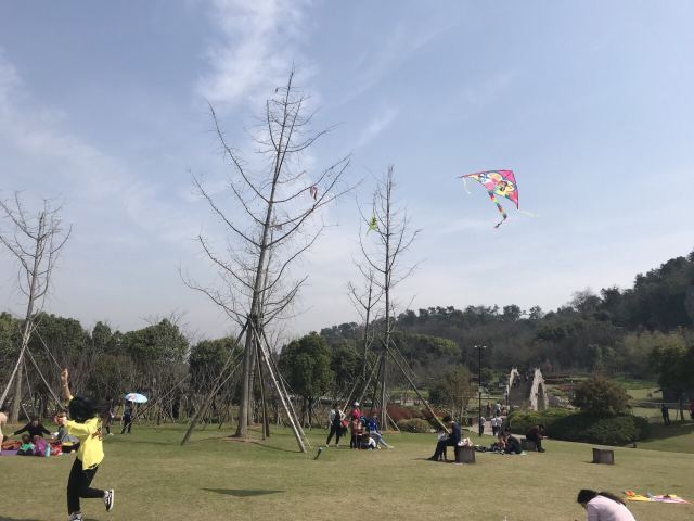 镜湖国家城市湿地公园