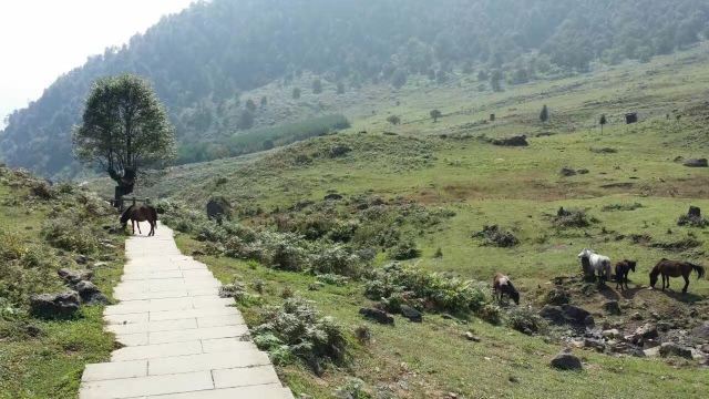 黑竹沟风景名胜区