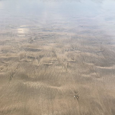 "_基湖沙滩"的评论图片