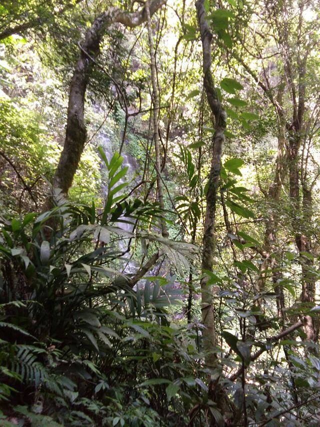 大桂山国家森林公园