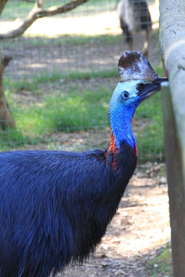 道格拉斯港野生动物栖息地