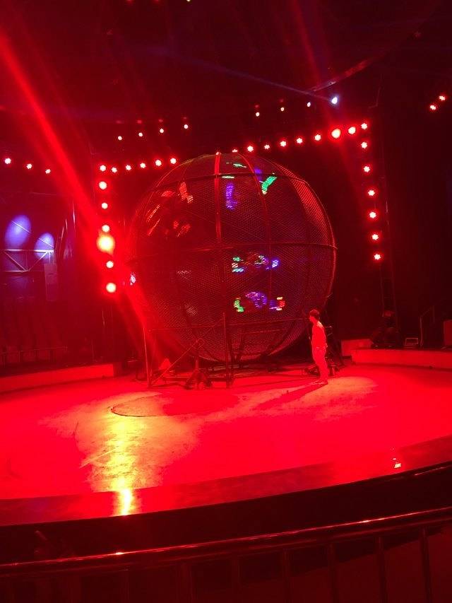 黑龙江虎林园国际马戏城