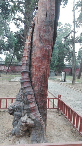 "_孟府孟庙景区"的评论图片