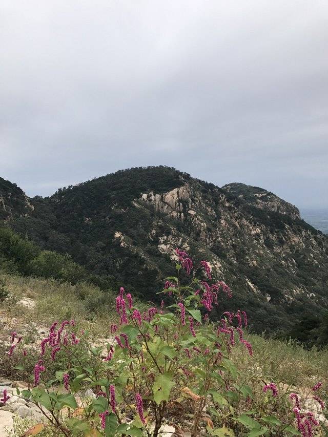 山东香山国际旅游度假区