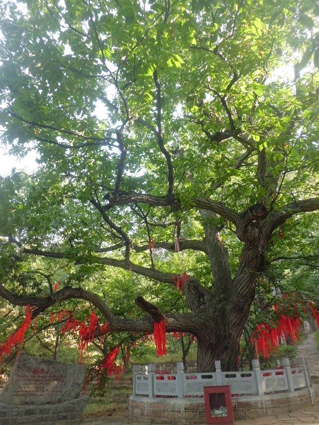 前南峪生态观光旅游区