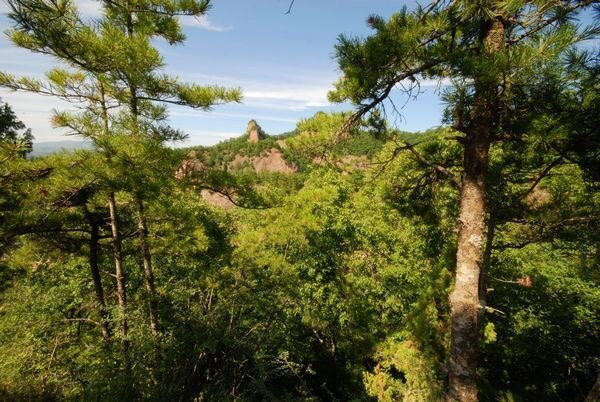 云崖寺国家森林公园