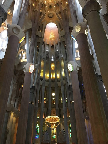 "_圣家主教座堂"的评论图片