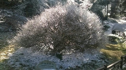 大口瀑布旅游景点攻略图