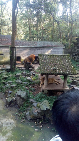 "_杭州动物园"的评论图片