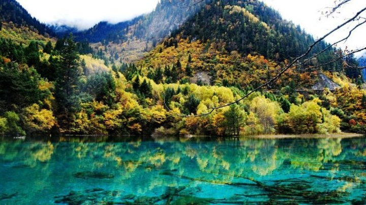 九寨沟风景区九寨六景丫字形三条丽沟童话境一百零八海子美水景之王