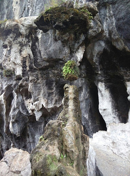 鳞隐石林旅游景点攻略图