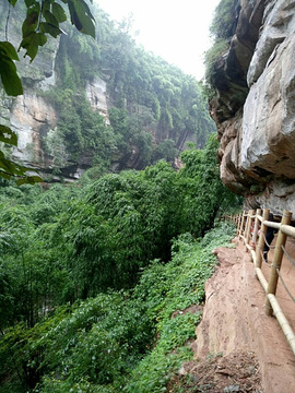 川西竹海景区旅游景点攻略图