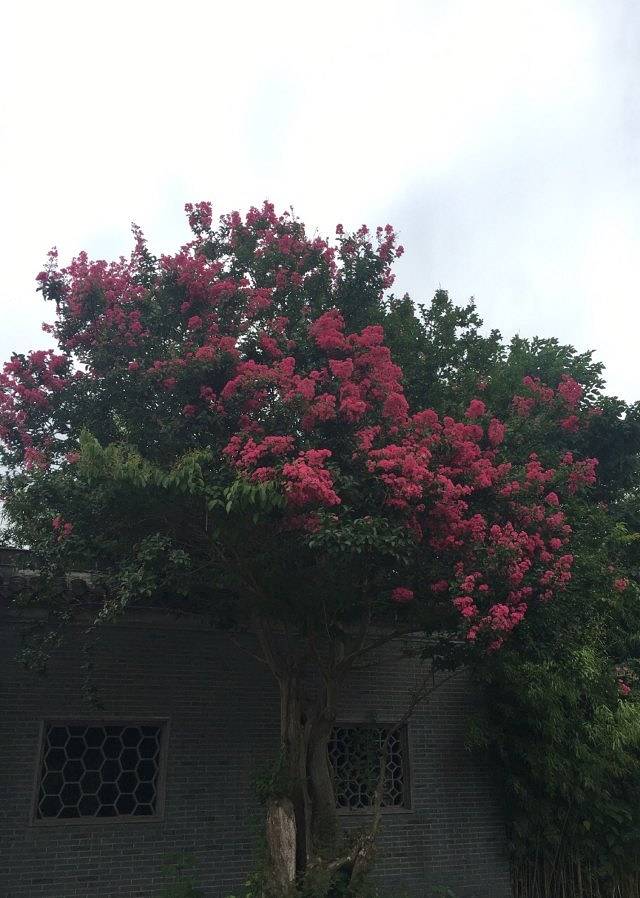 凤城河风水博物馆