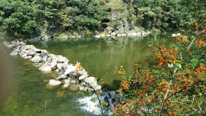 汪胡是原始森林,古木参天,较多的是野酸枣树,沿着木栈道,一路往上爬就