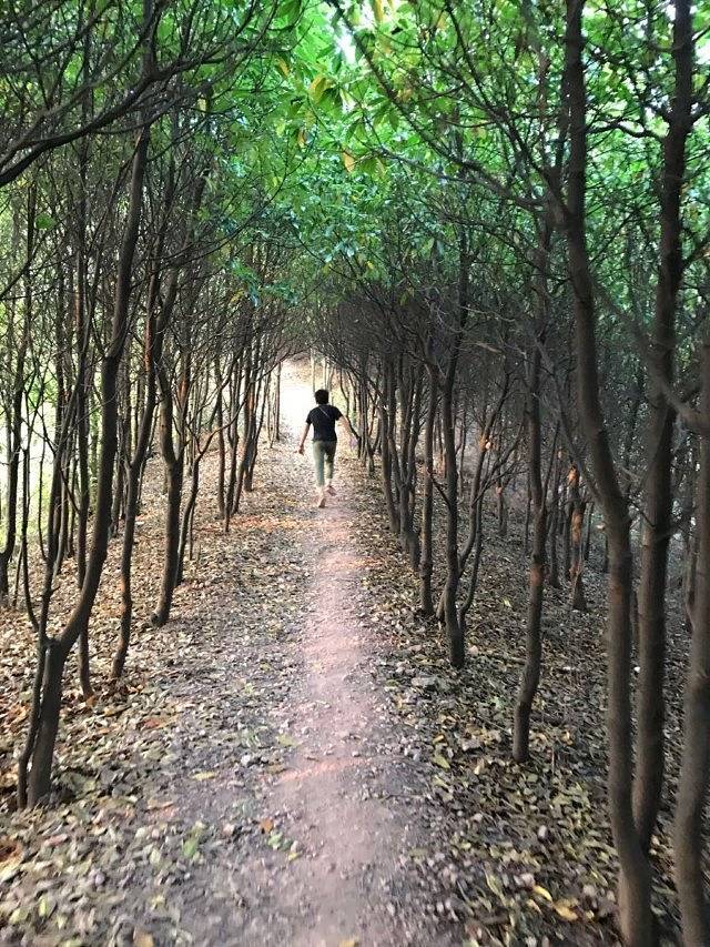 广西桂林山水高尔夫球会